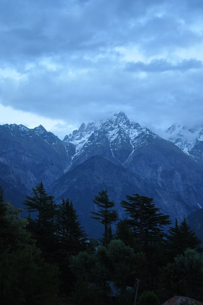 绿色的森林和雪山
